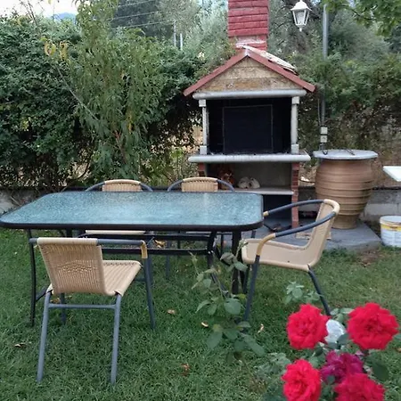 Paradise Apartamento *